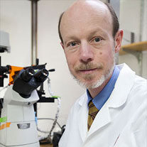 Timothy Kamp, MD, PhD, FACC