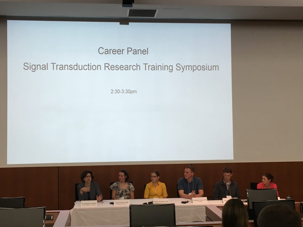 Career panelists at the front of the auditorium