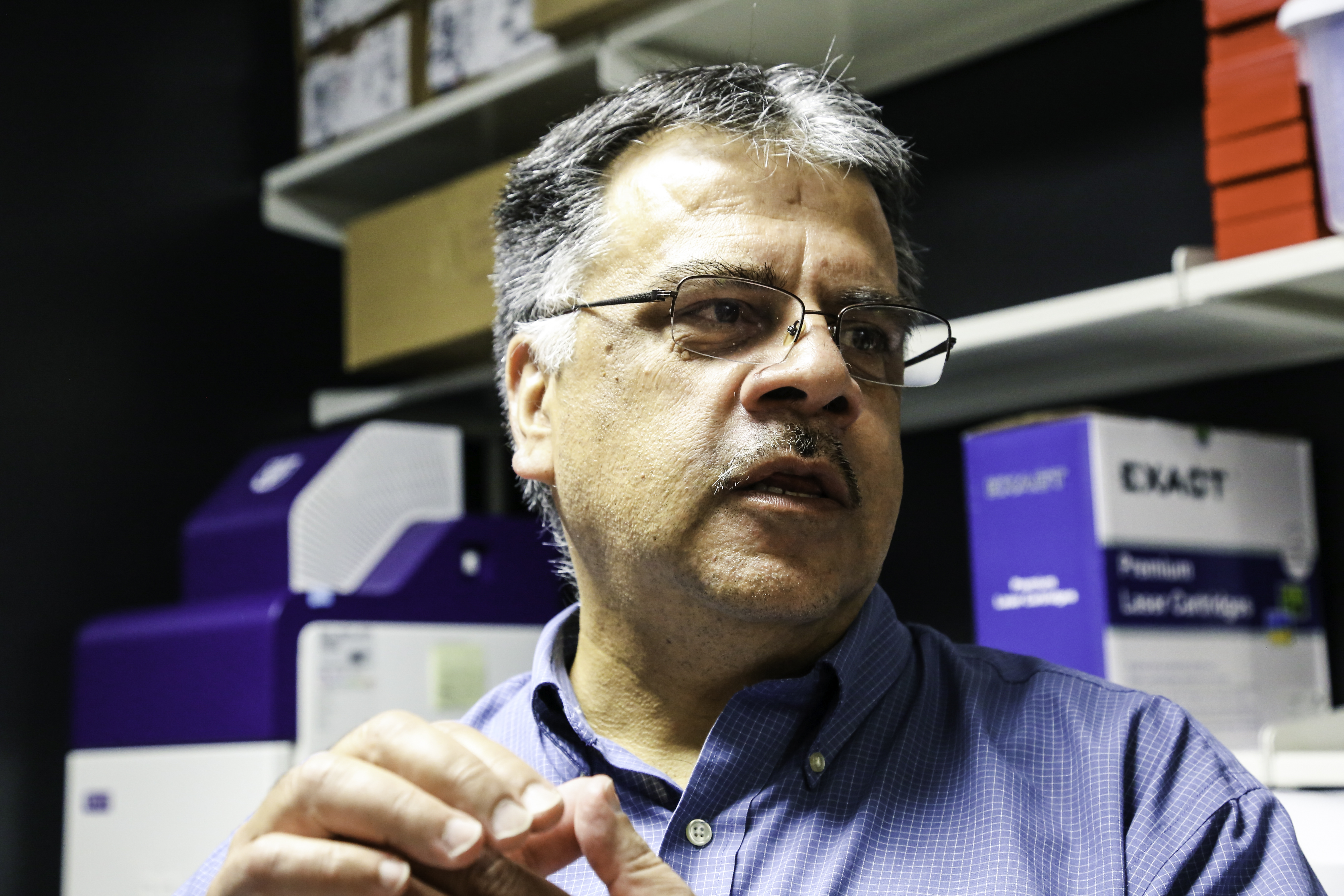 Nader Sheibani, PhD